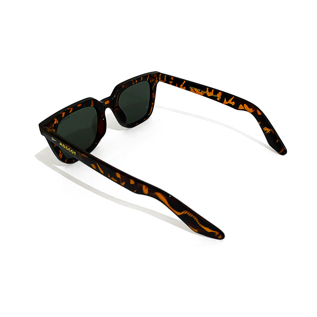 Moscot Tiger